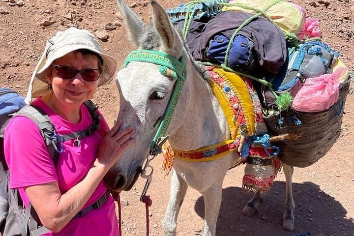 Mount Toubkal Trek5