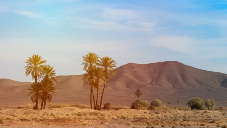 africa-g6532c23b1_1920-768x432
