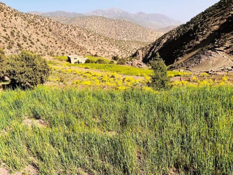 17-trek-Berber-villages-in-Moroccan-high-atlas-mountains-768x576