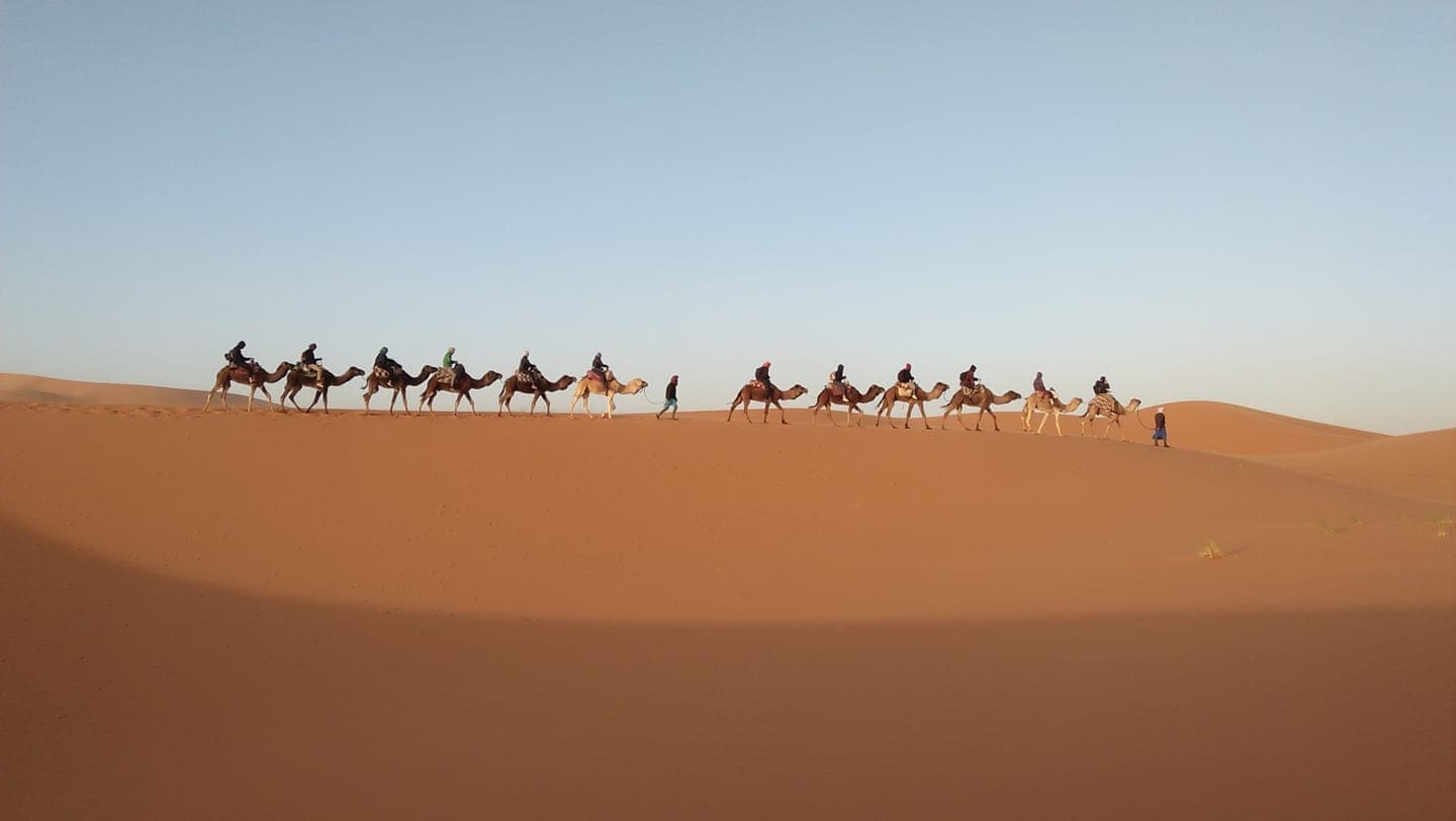 Community Engagement